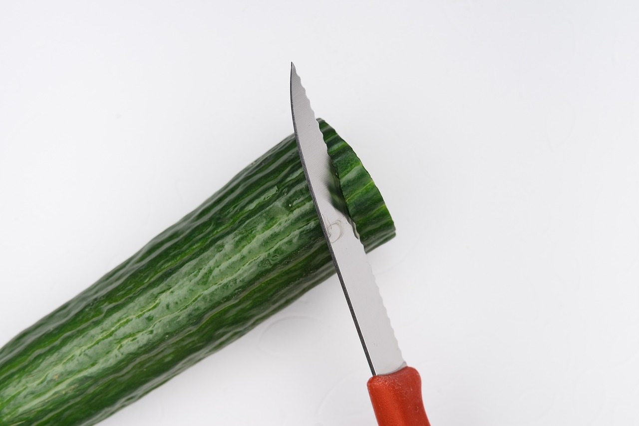 Vegane rezepte einfach und schnell zubereitet