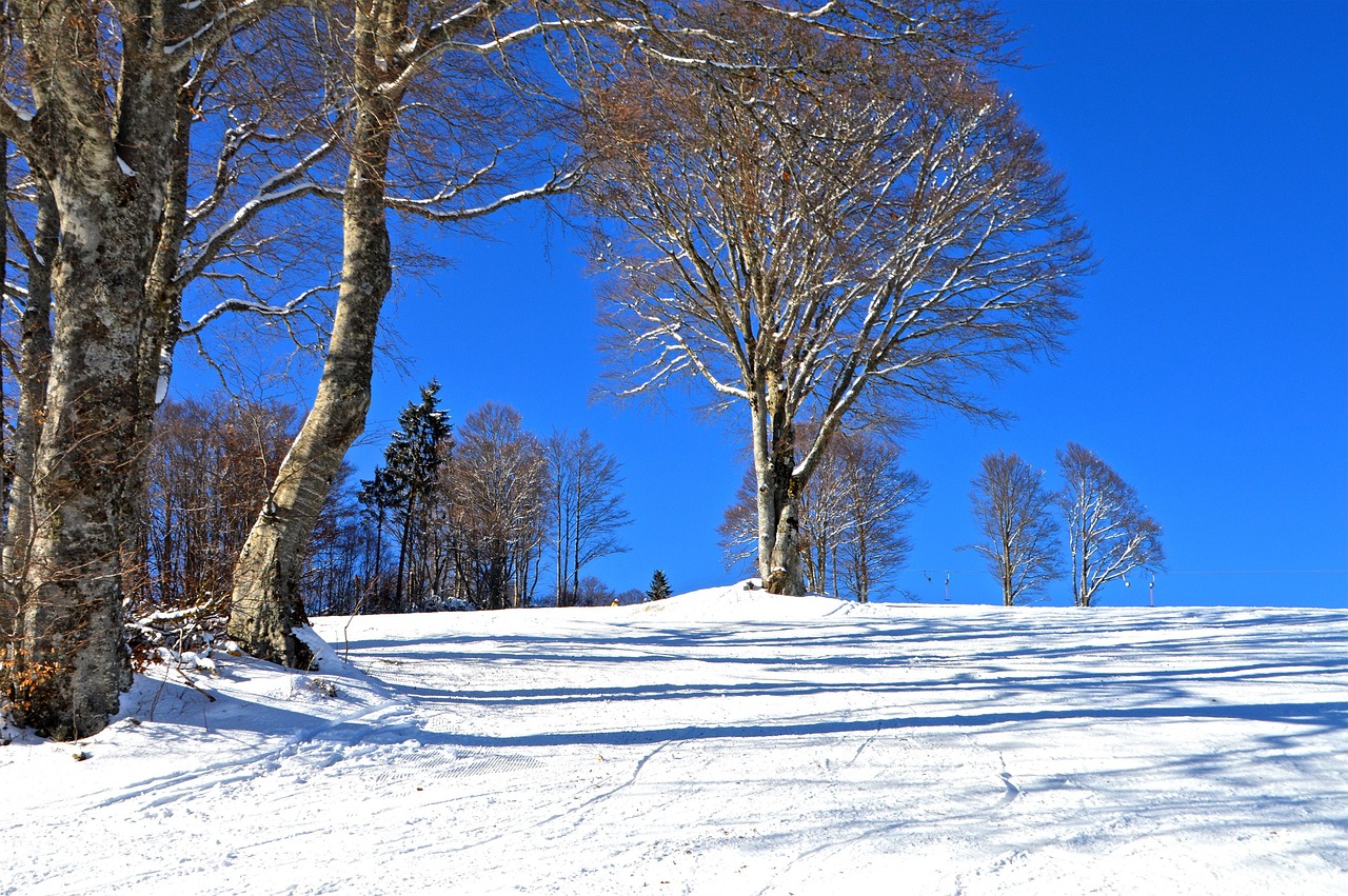einf&uuml;hrung in etfs f&uuml;r anf&auml;nger: lernen sie die grundlagen von exchange traded funds, wie sie funktionieren und wie sie erfolgreich investieren k&ouml;nnen.